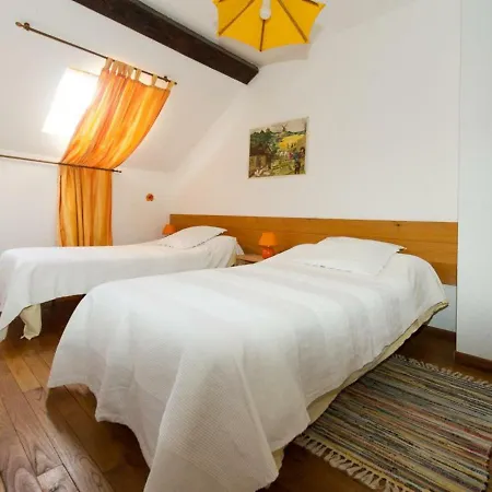Charmante Grange Renovee Avec Jardin, Terrasse Et Animaux Acceptes - Fr-1-489-47 * Chatel-Montagne